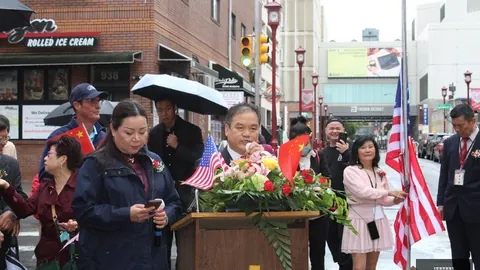 张馨辉煌征程：二次出征，渴望征服胜利巅峰